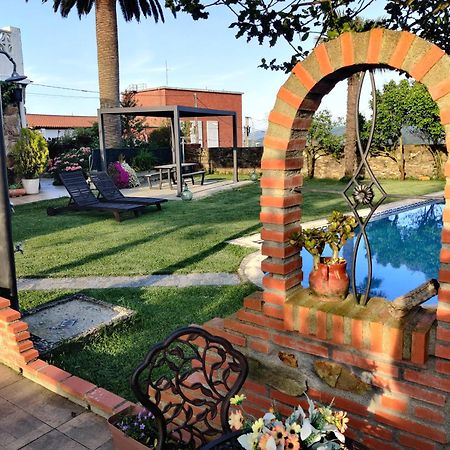 巴绍里Bilbo Near Atico Rural Con Terraza公寓 外观 照片